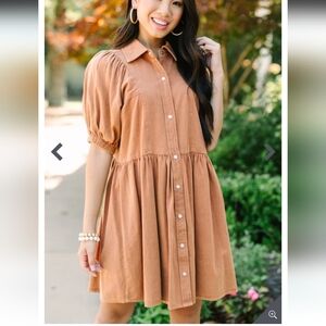 Shop The Mint XL Well Known Cinnamon Brown Denim Babydoll Puff Sleeve Dress